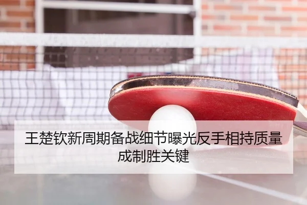 王楚钦新周期备战细节曝光反手相持质量成制胜关键